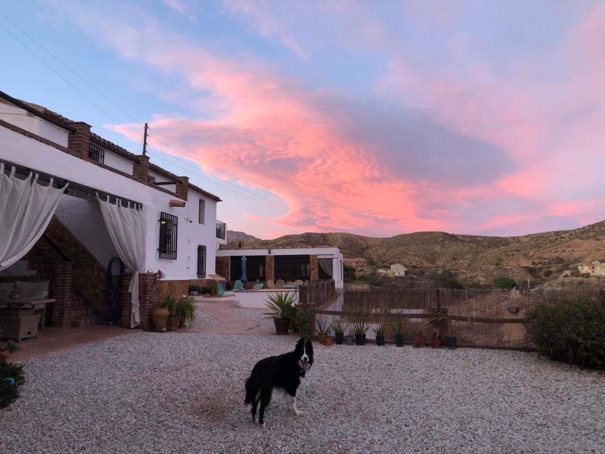 Appartamento Cortijo Perejil, A Tranquil Mountain Escape & Private Pool Oria Esterno foto