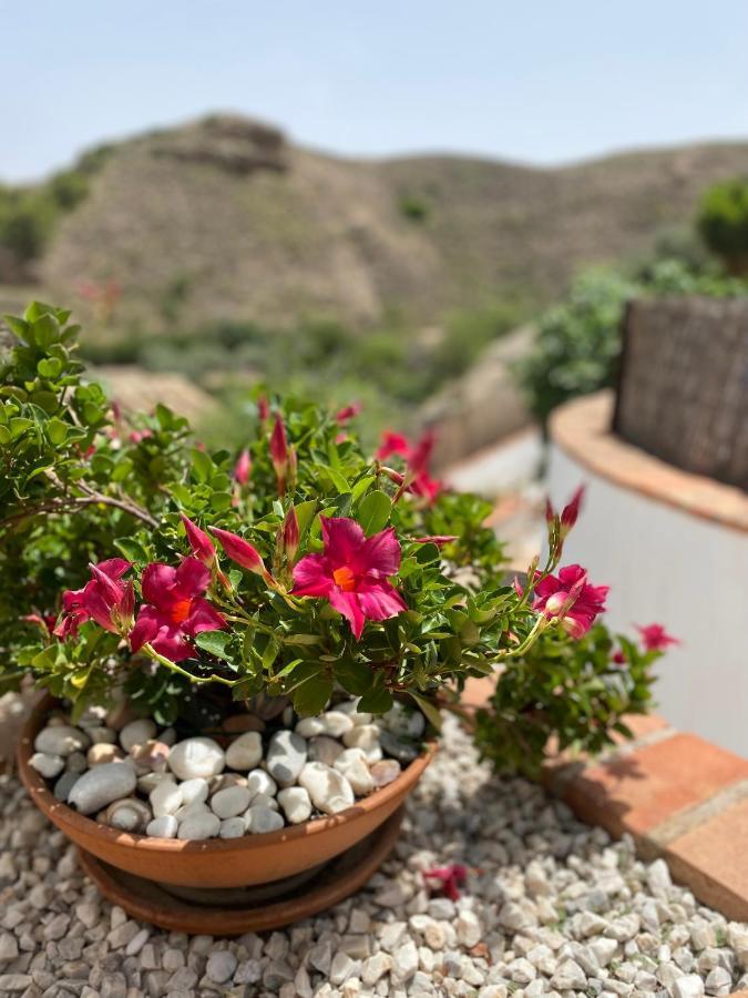 Appartamento Cortijo Perejil, A Tranquil Mountain Escape & Private Pool Oria Esterno foto