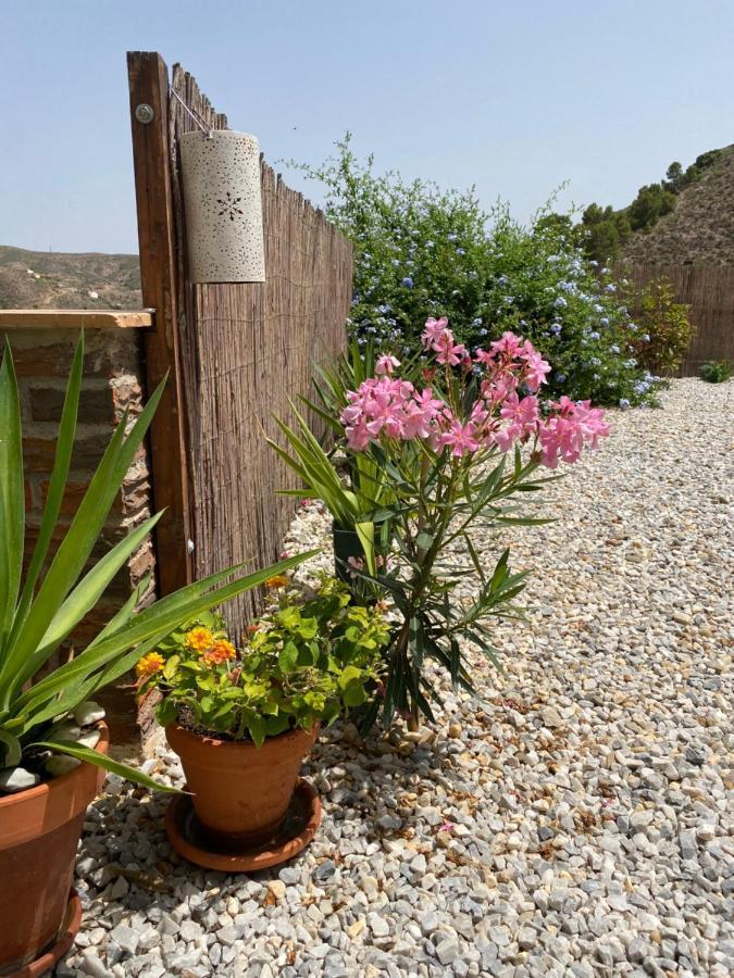 Appartamento Cortijo Perejil, A Tranquil Mountain Escape & Private Pool Oria Esterno foto